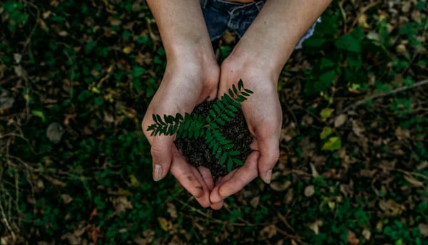 Eco